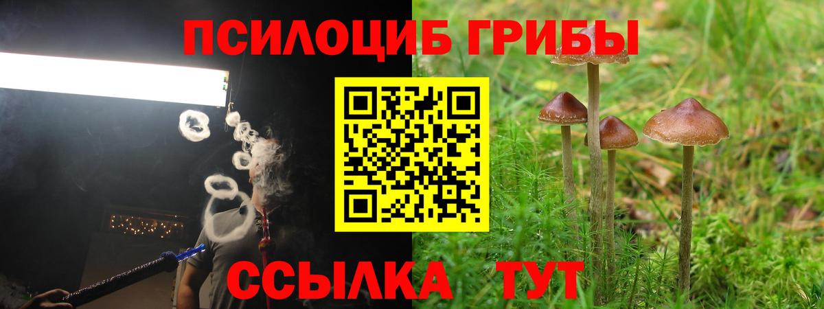 Чистополь  Галлюциногенные грибы прущие грибы  Вход с VPN  хочу наркоту  Псилоцибиновые грибы мицелий 